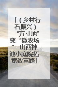 （乡村行·看振兴）“方寸地”变“微农场” 山西神池小庭院拓宽致富路