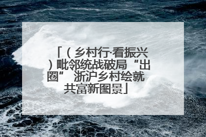 （乡村行·看振兴）毗邻统战破局“出圈” 浙沪乡村绘就共富新图景
