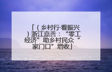 （乡村行·看振兴）浙江嘉善：“零工经济”助乡村民众“家门口”增收