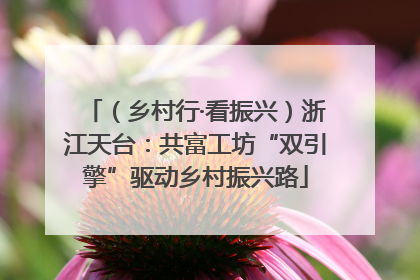 （乡村行·看振兴）浙江天台：共富工坊“双引擎”驱动乡村振兴路