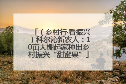 （乡村行·看振兴）科尔沁新农人：10亩大棚起家种出乡村振兴“甜蜜果”