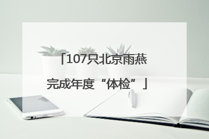 107只北京雨燕完成年度“体检”