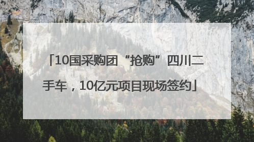 10国采购团“抢购”四川二手车，10亿元项目现场签约
