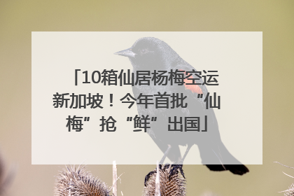 10箱仙居杨梅空运新加坡！今年首批“仙梅”抢“鲜”出国