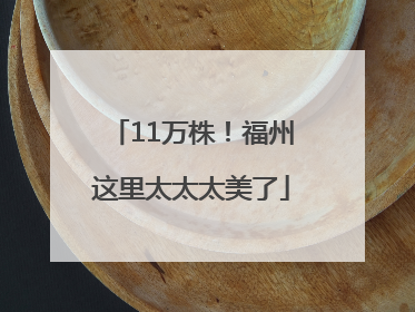 11万株！福州这里太太太美了