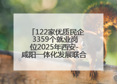 122家优质民企 3359个就业岗位2025年西安-咸阳一体化发展联合招聘会举办