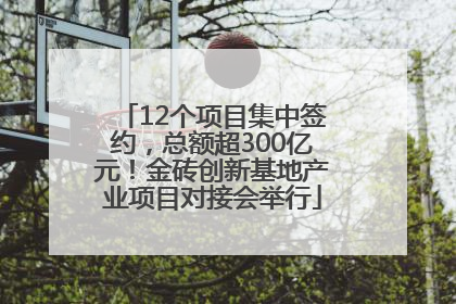 12个项目集中签约，总额超300亿元！金砖创新基地产业项目对接会举行
