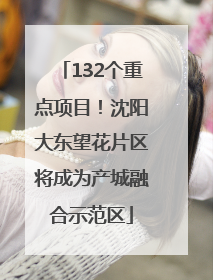 132个重点项目！沈阳大东望花片区将成为产城融合示范区