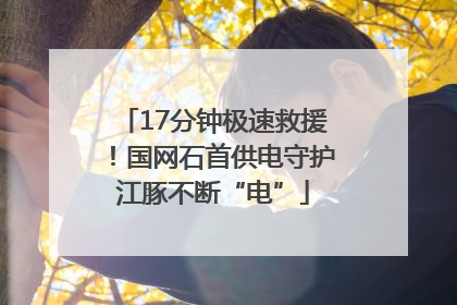 17分钟极速救援！国网石首供电守护江豚不断“电”