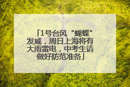 1号台风“蝴蝶”发威，周日上海将有大雨雷电，中考生请做好防范准备
