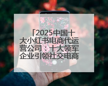 2025中国十大小红书电商代运营公司：十大领军企业引领社交电商新风向