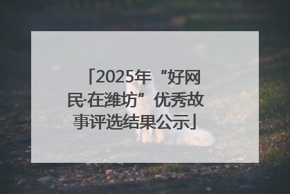 2025年“好网民·在潍坊”优秀故事评选结果公示