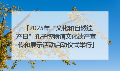 2025年“文化和自然遗产日”孔子博物馆文化遗产宣传和展示活动启动仪式举行