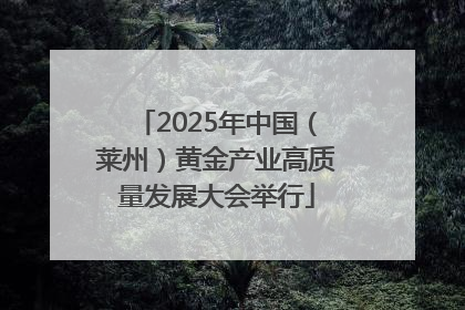 2025年中国（莱州）黄金产业高质量发展大会举行