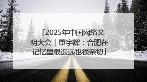 2025年中国网络文明大会｜董宇辉：合肥在记忆里很遥远也很亲切