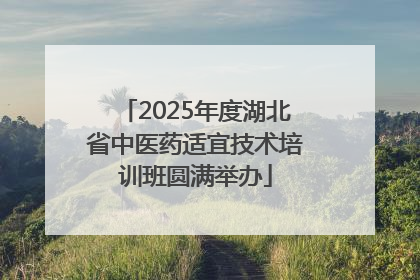 2025年度湖北省中医药适宜技术培训班圆满举办