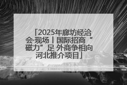 2025年廊坊经洽会·现场丨国际招商“磁力”足 外商争相向河北推介项目