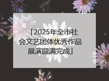 2025年全市社会文艺团体优秀作品展演圆满完成