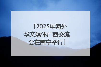 2025年海外华文媒体广西交流会在南宁举行