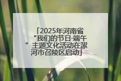 2025年河南省“我们的节日·端午”主题文化活动在漯河市召陵区启动