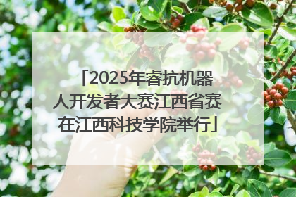 2025年睿抗机器人开发者大赛江西省赛在江西科技学院举行