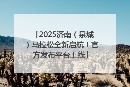 2025济南（泉城）马拉松全新启航！官方发布平台上线