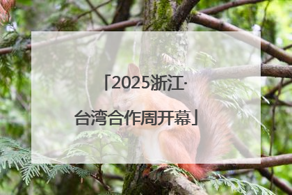 2025浙江·台湾合作周开幕