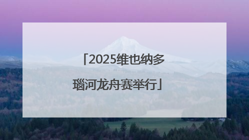 2025维也纳多瑙河龙舟赛举行