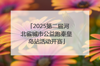 2025第二届河北省城市公益跑秦皇岛站活动开赛