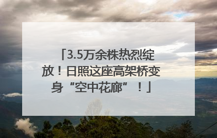 3.5万余株热烈绽放！日照这座高架桥变身“空中花廊”！
