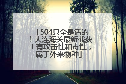 504只全是活的！大连海关最新截获！有攻击性和毒性，属于外来物种
