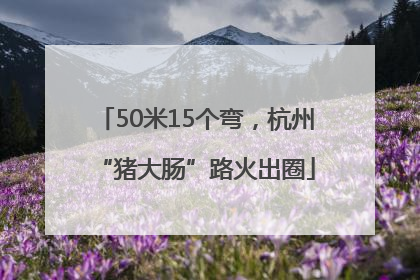 50米15个弯，杭州“猪大肠”路火出圈
