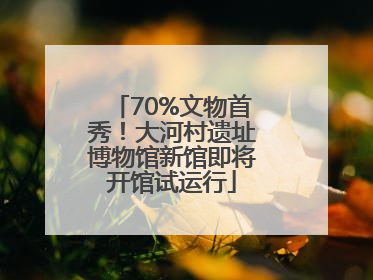 70%文物首秀！大河村遗址博物馆新馆即将开馆试运行