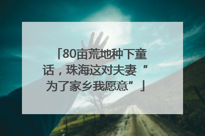 80亩荒地种下童话,珠海这对夫妻“为了家乡我愿意”