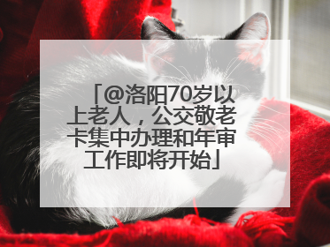@洛阳70岁以上老人，公交敬老卡集中办理和年审工作即将开始