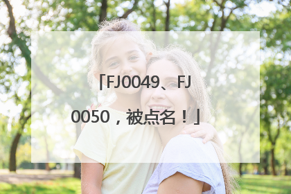 FJ0049、FJ0050，被点名！