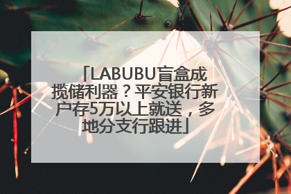 LABUBU盲盒成揽储利器？平安银行新户存5万以上就送，多地分支行跟进